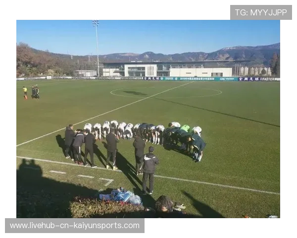 职业球员是否参与联盟规章制度制定和完善，职业球员的定义